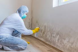 Best Water Damage & Mold Remediation  in Ballston Spa, NY