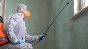 Best Asbestos and Lead Testing During Mold Inspection  in Ballston Spa, NY