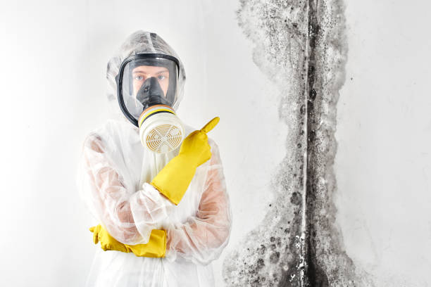 Best Mold Remediation for Rental Properties  in Ballston Spa, NY