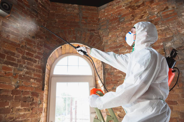 Best Biohazard Mold Removal  in Ballston Spa, NY